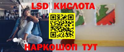 гидропоника Сланцы