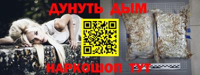 гидропоника Сланцы