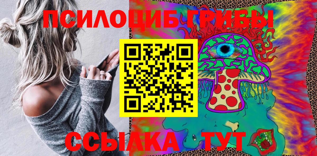 Новодвинск  Псилоцибиновые грибы GOLDEN TEACHER  Вход с VPN  дарнет шоп  Псилоцибиновые грибы мухоморы 
